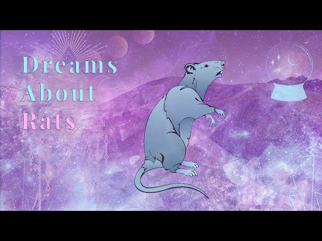 Mire Sueño con ratas: mensaje espiritual y significado del sueño de la rata en YouTube.
