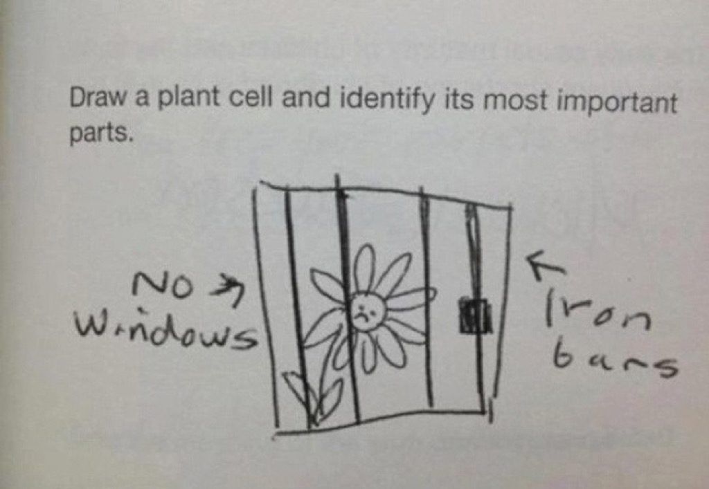 Bitki hücresi komik çocuk