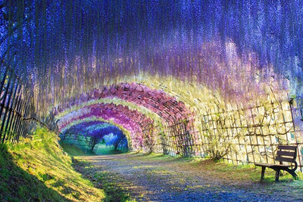 krāsains sulīgs tunelis