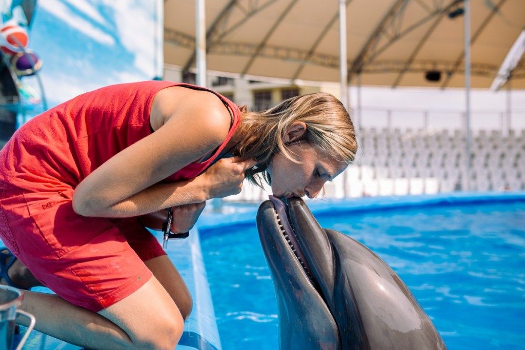 moteris bučiuoja delfiną ant snukio