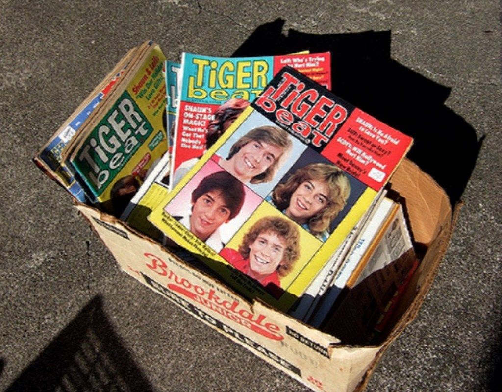 Tiger Beat-tijdschriften