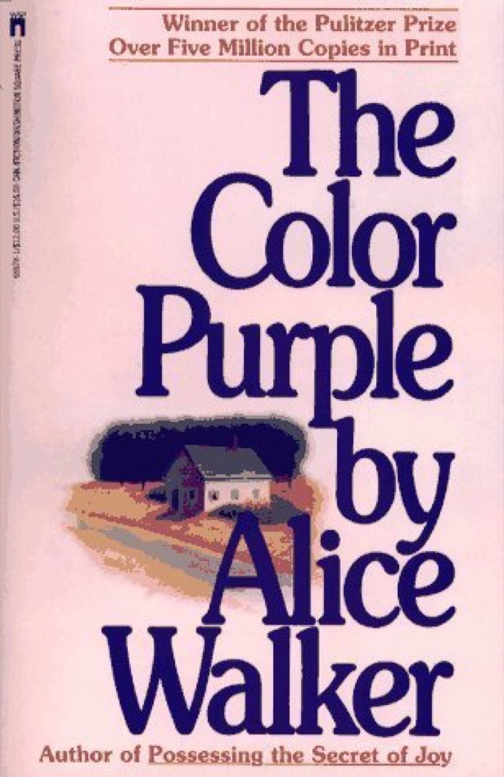 رنگین ارغوانی بذریعہ ایلس واکر کی کتابیں ہر عورت کو اپنے 40s میں پڑھنا چاہ.