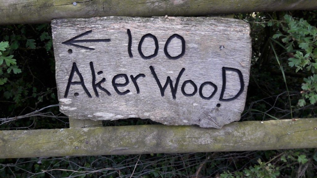 šimto arų medienos ženklas