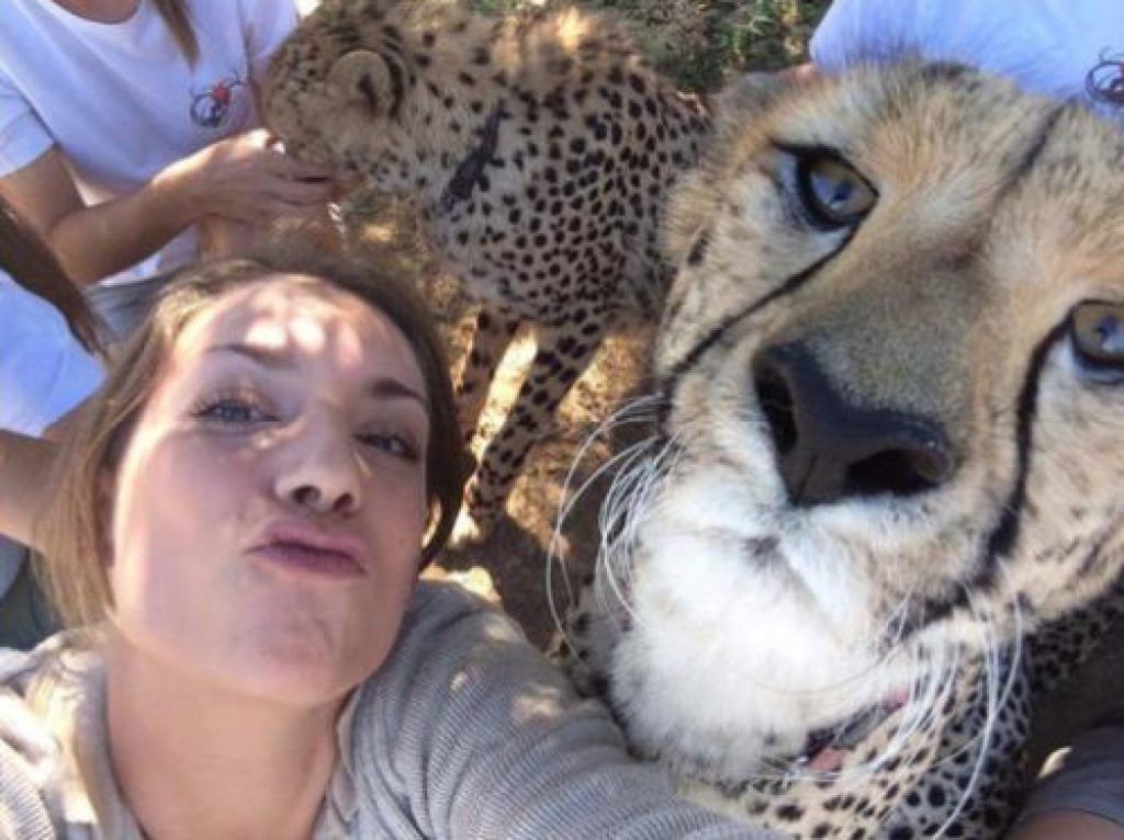 Cheetah Wanita Selfie
