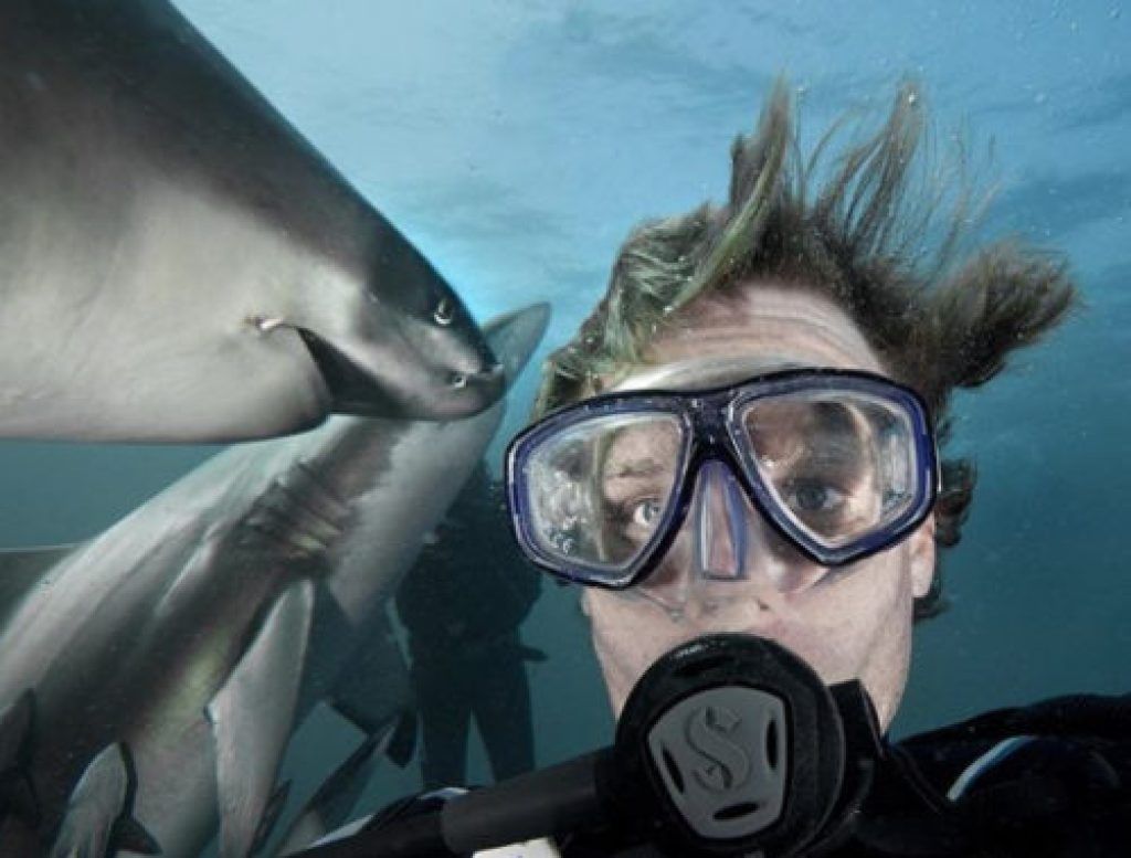 Lelaki dengan Sharks Selfies