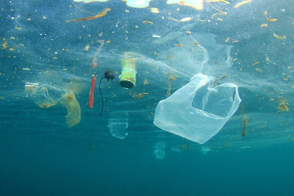 Nuestros océanos se están convirtiendo en plástico ... ¿no es así?