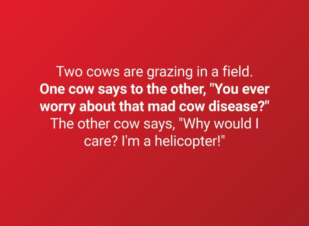 Divas govis ganās laukā. Viena govs saka otrai: