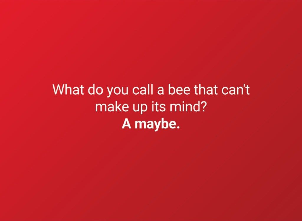คุณเรียกว่าอะไรผึ้งที่ไม่สามารถตัดสินใจได้? อาจจะ.