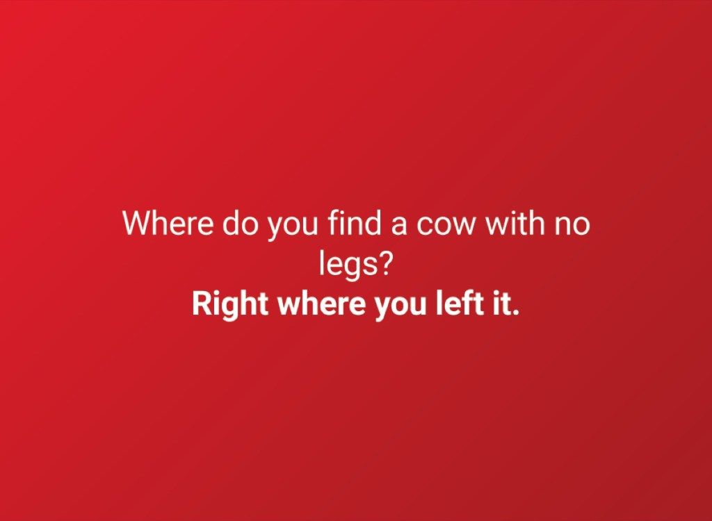 คุณพบวัวที่ไม่มีขาที่ไหน? ตรงที่คุณทิ้งมันไว้