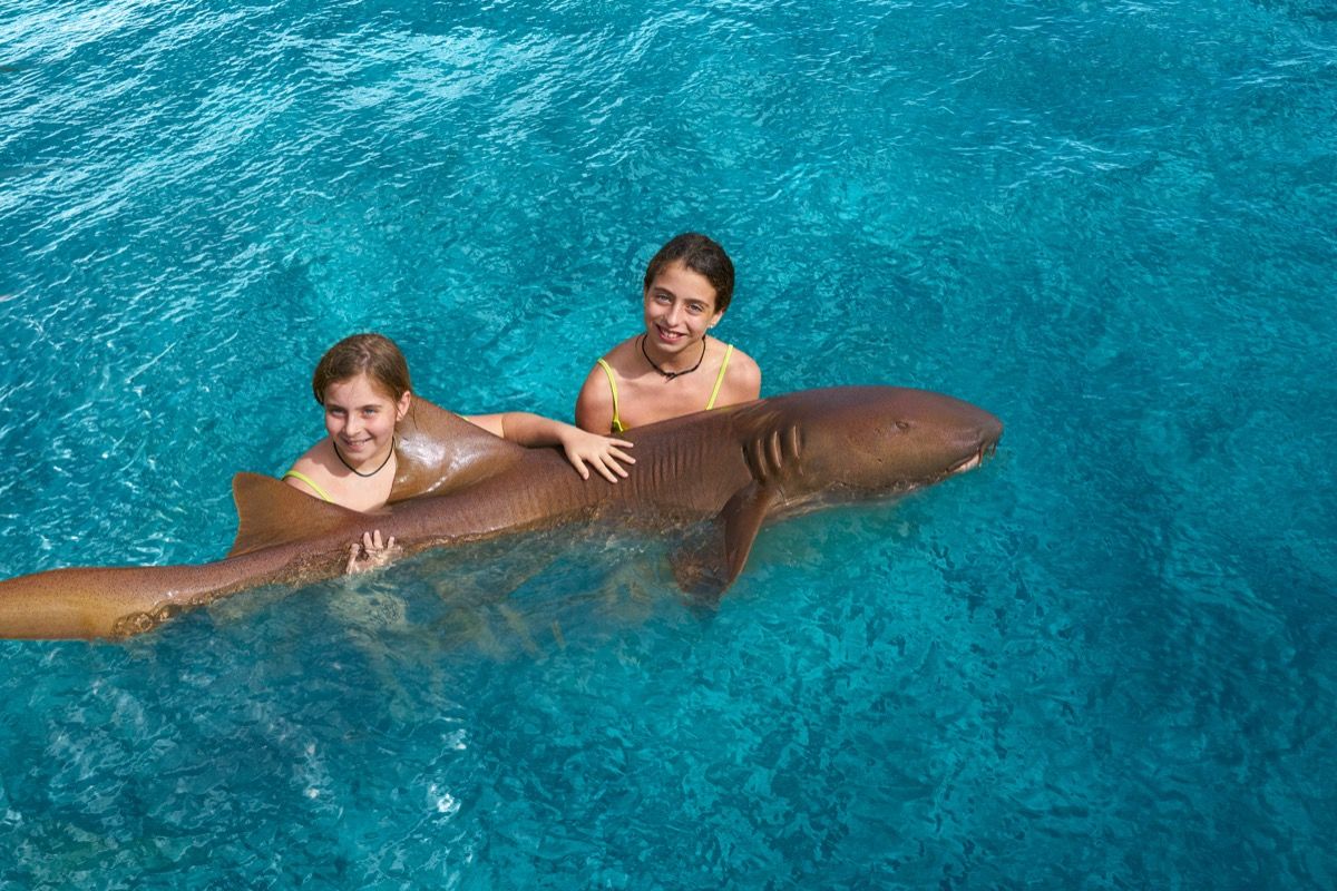 شقيقتان تحملان سمكة القرش الممرضة في الماء