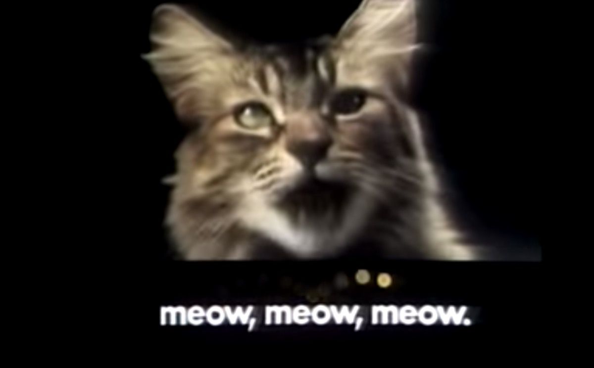 Comercial de la década de 1970 de Meow Mix