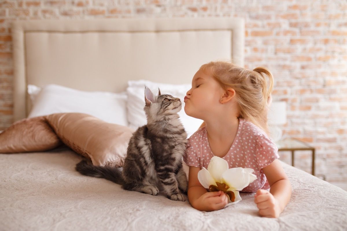 kissa ja tyttö hymyilevät toisilleen - kissan sanalaudat