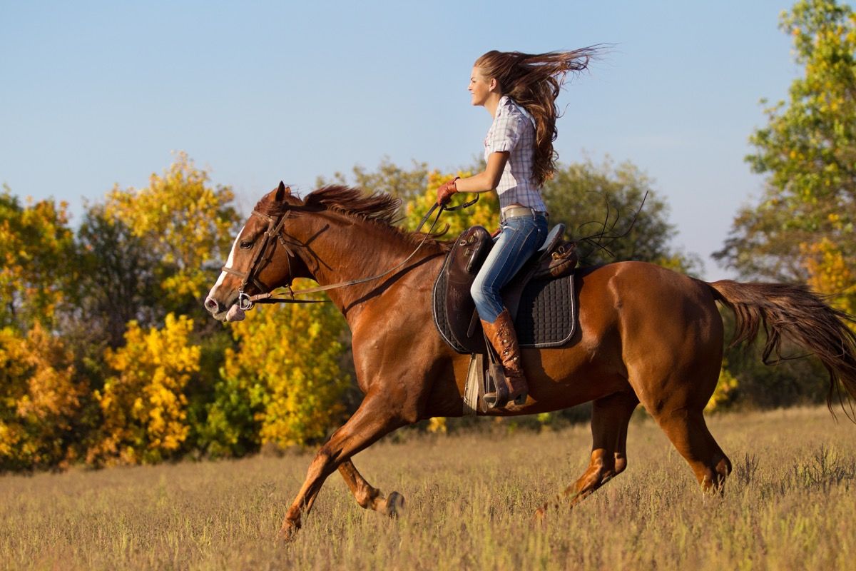 אישה רוכבת על סוס באזור הכפרי