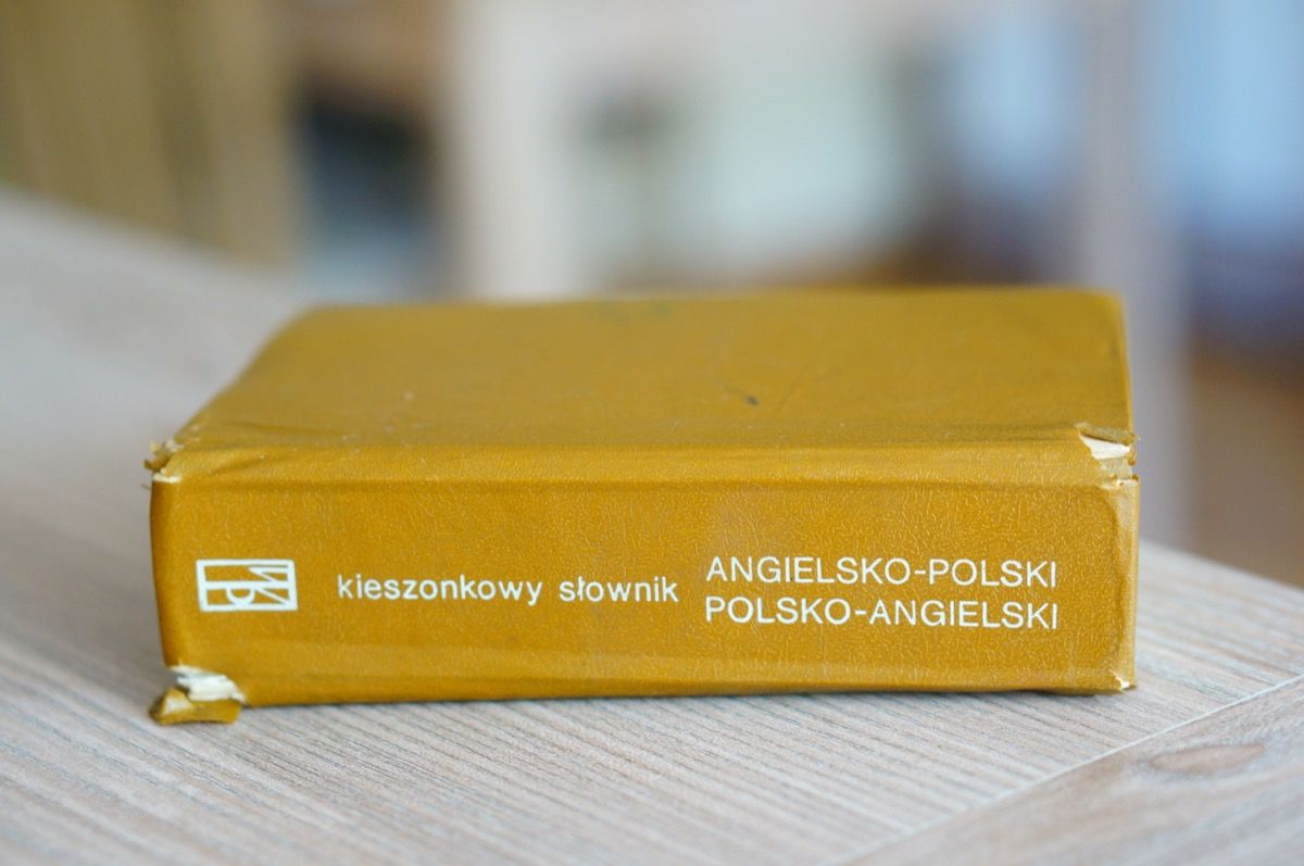 Polský anglický slovník