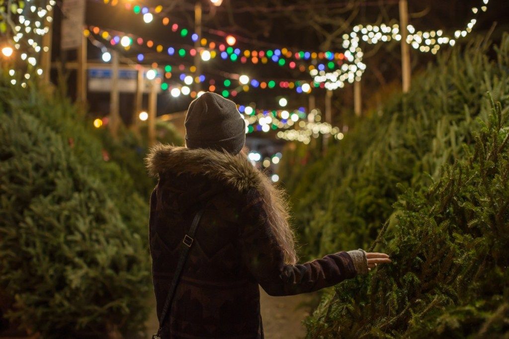 žena koja stoji na parceli za božićno drvce