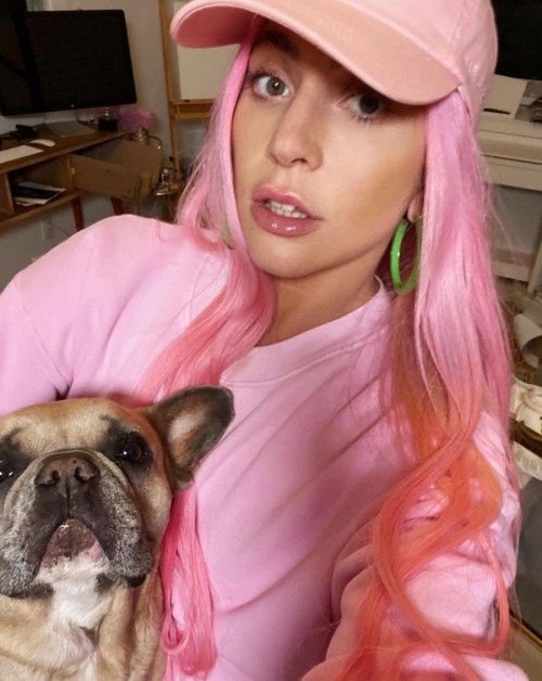 כלבי ליידי גאגא נגנבו במהלך שוד מזוין