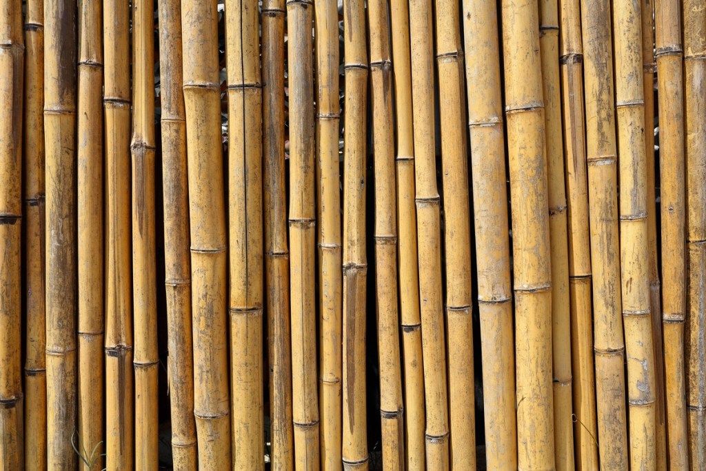 bambusov zid, neuporabna dejstva