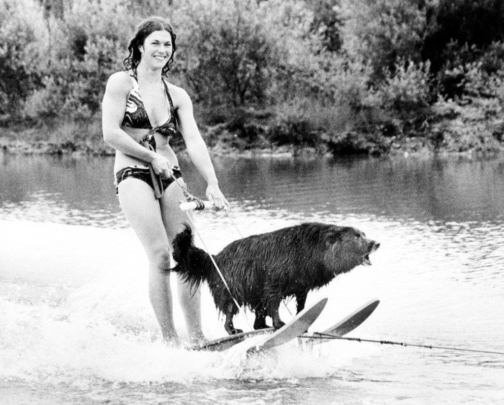 Một người phụ nữ trượt tuyết dưới nước với con chó của cô ấy