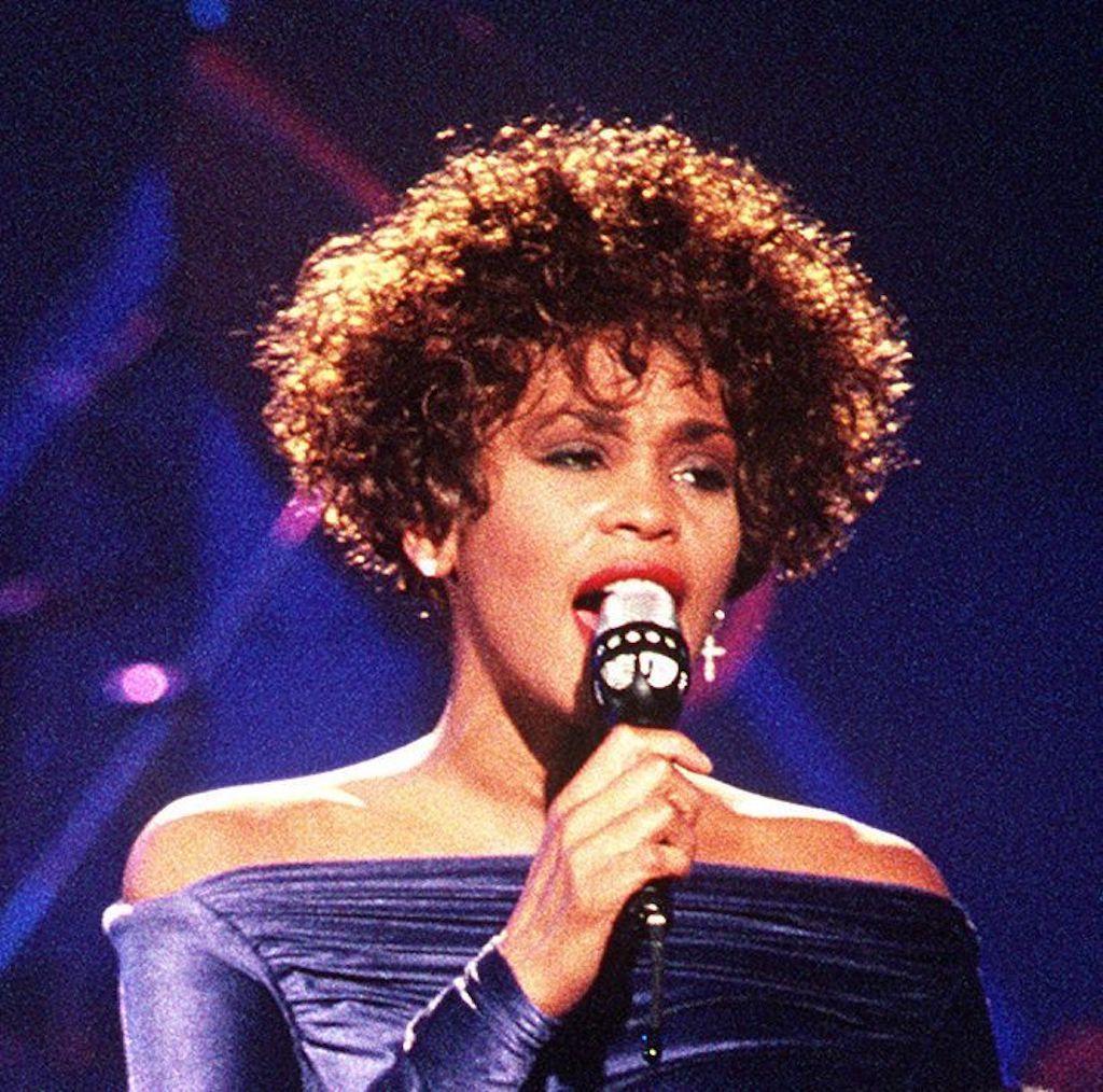 Whitney Houston hetaste kändis året du föddes
