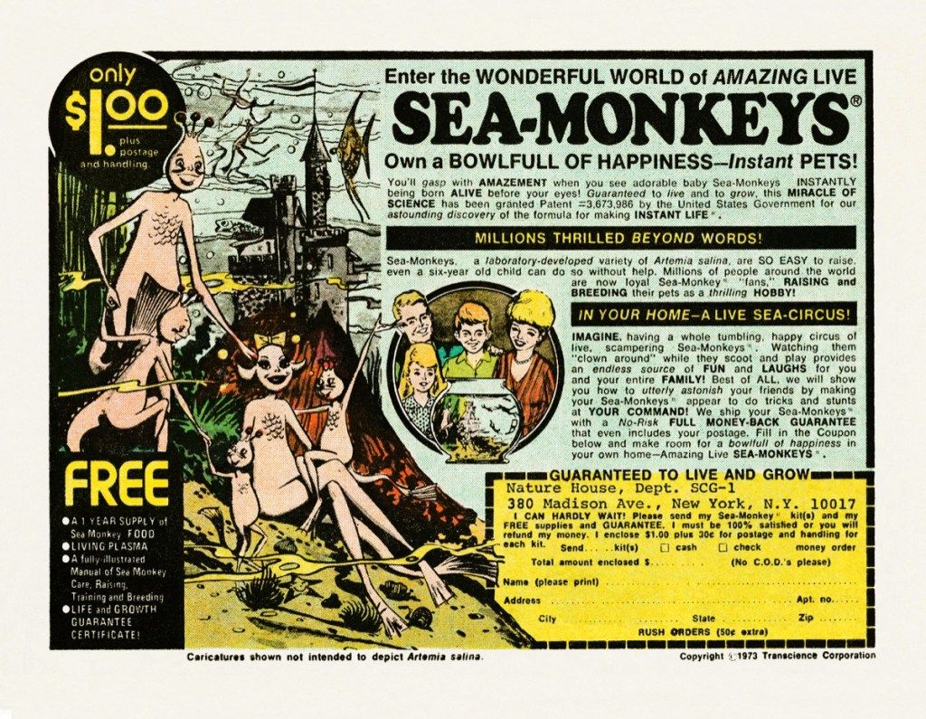 Reklama małp morskich z lat 70., nsotalgia z lat 70