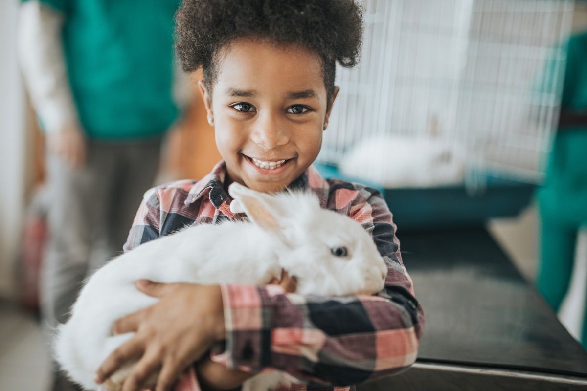 Feliz niña afroamericana con su conejo al veterinario