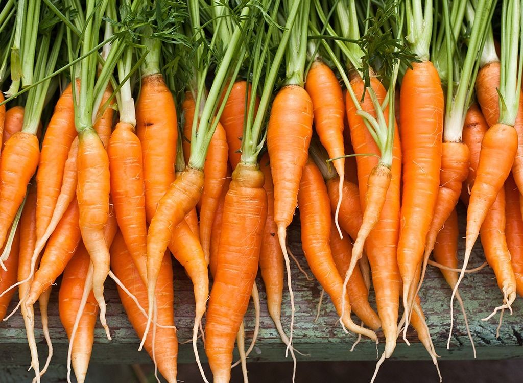 Haufen Karotten - beste Osterspiele