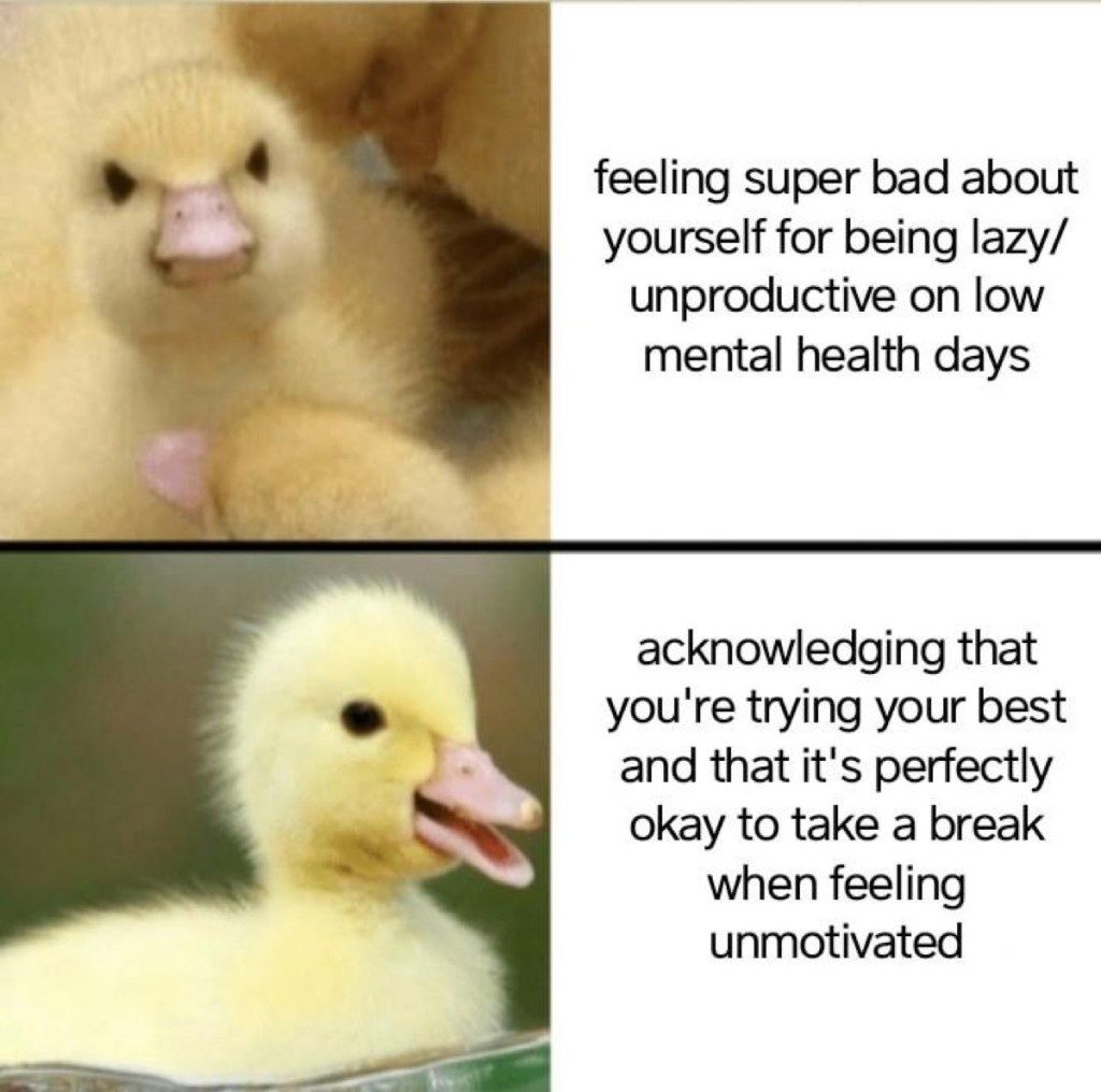 korisne meme patke za mentalno zdravlje