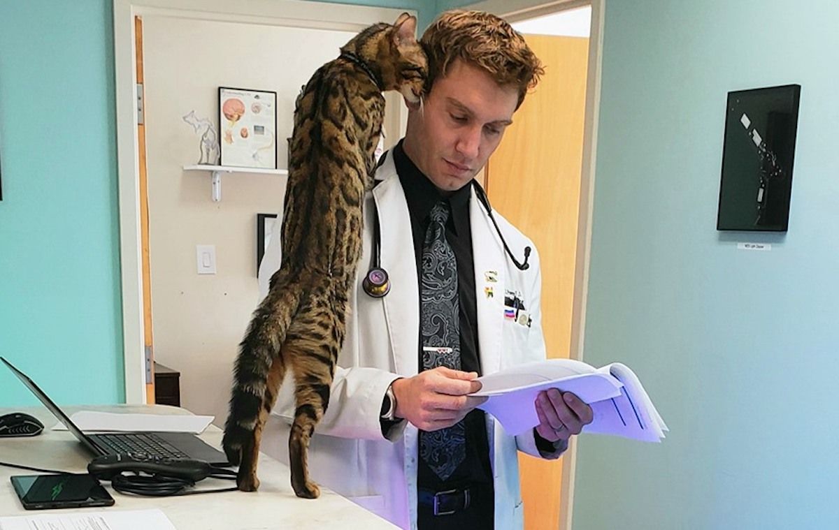 Po tragičnem izgubljanju mačk v hišnem požaru je ta zdravnik odprl edinstveno kliniko s terapevtskimi mačkami