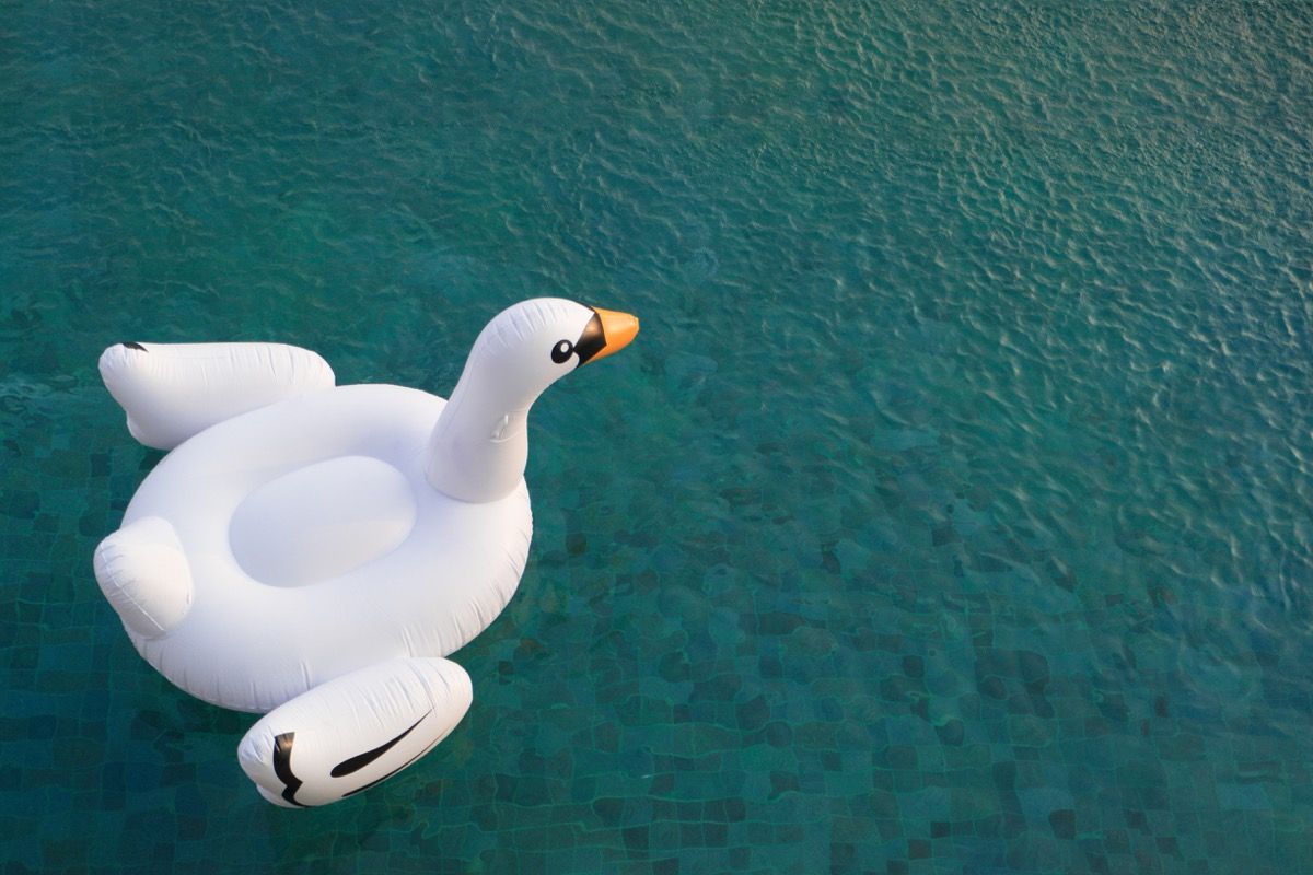 juguete de piscina inflable, cisne en una piscina