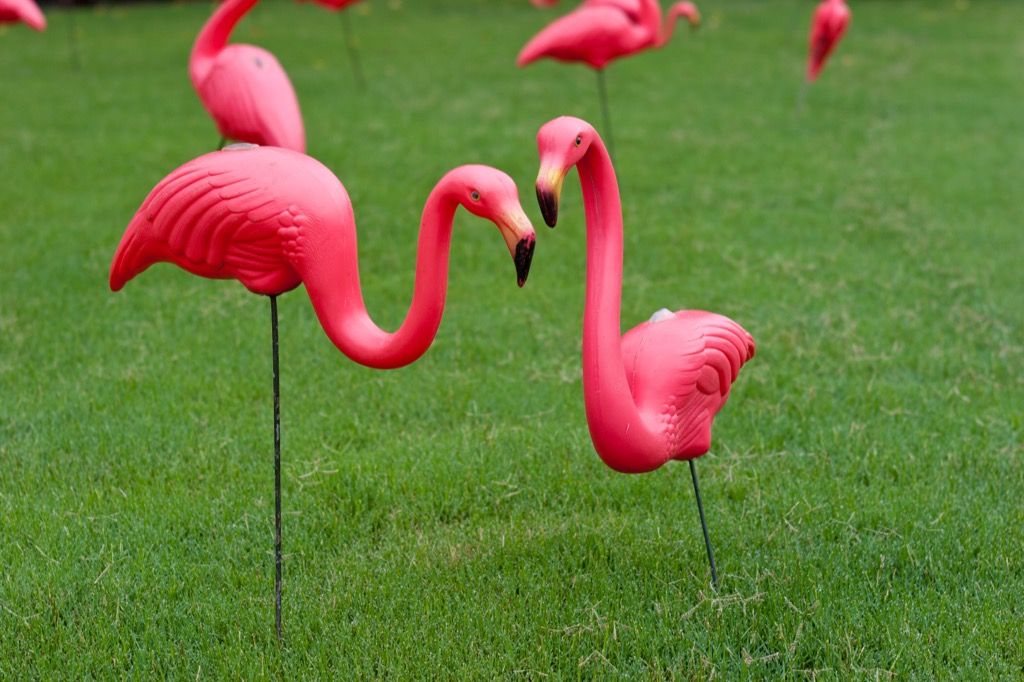 plastikust flamingo