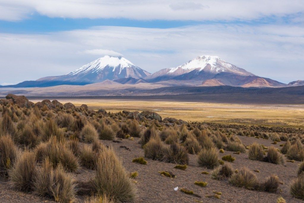 altiplano மலை தேசிய புவியியல் தேனீ கேள்விகள்