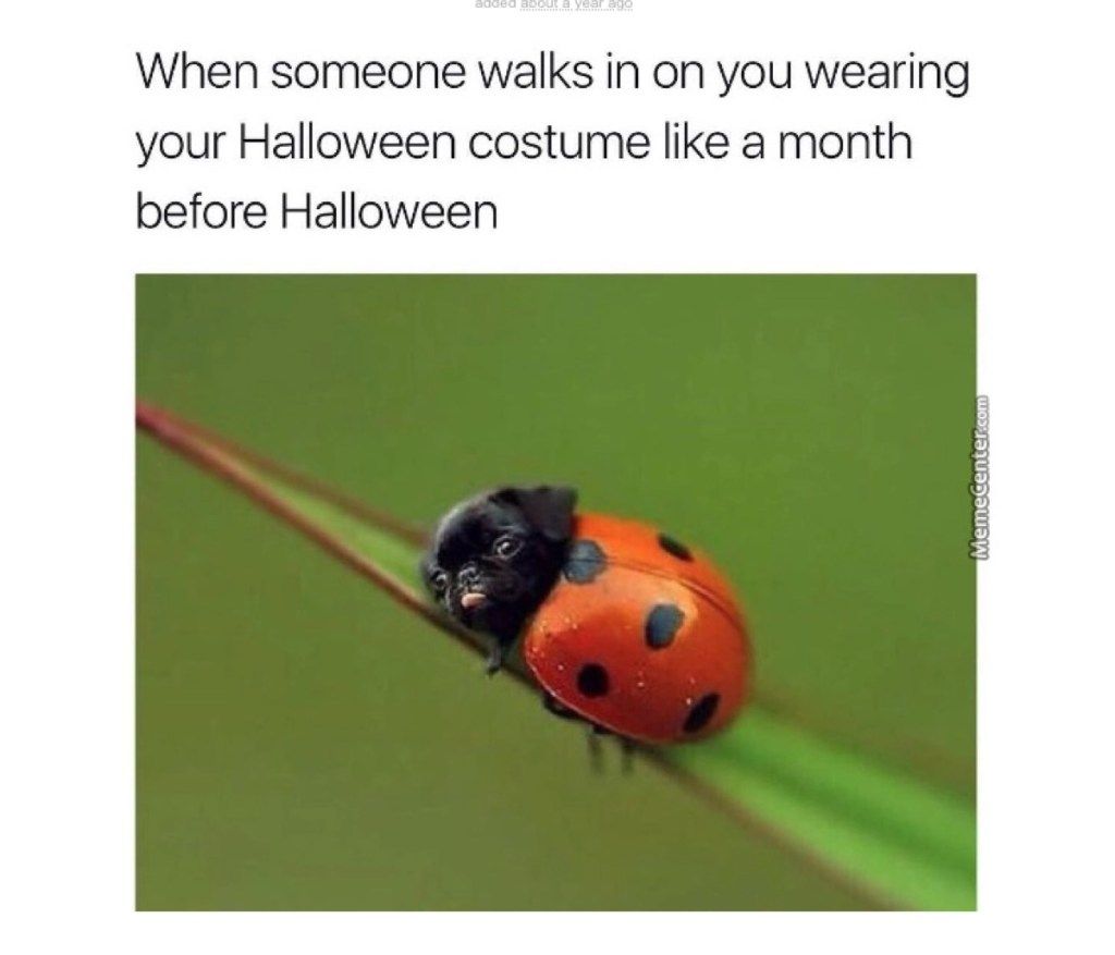 hauska halloween meme puku