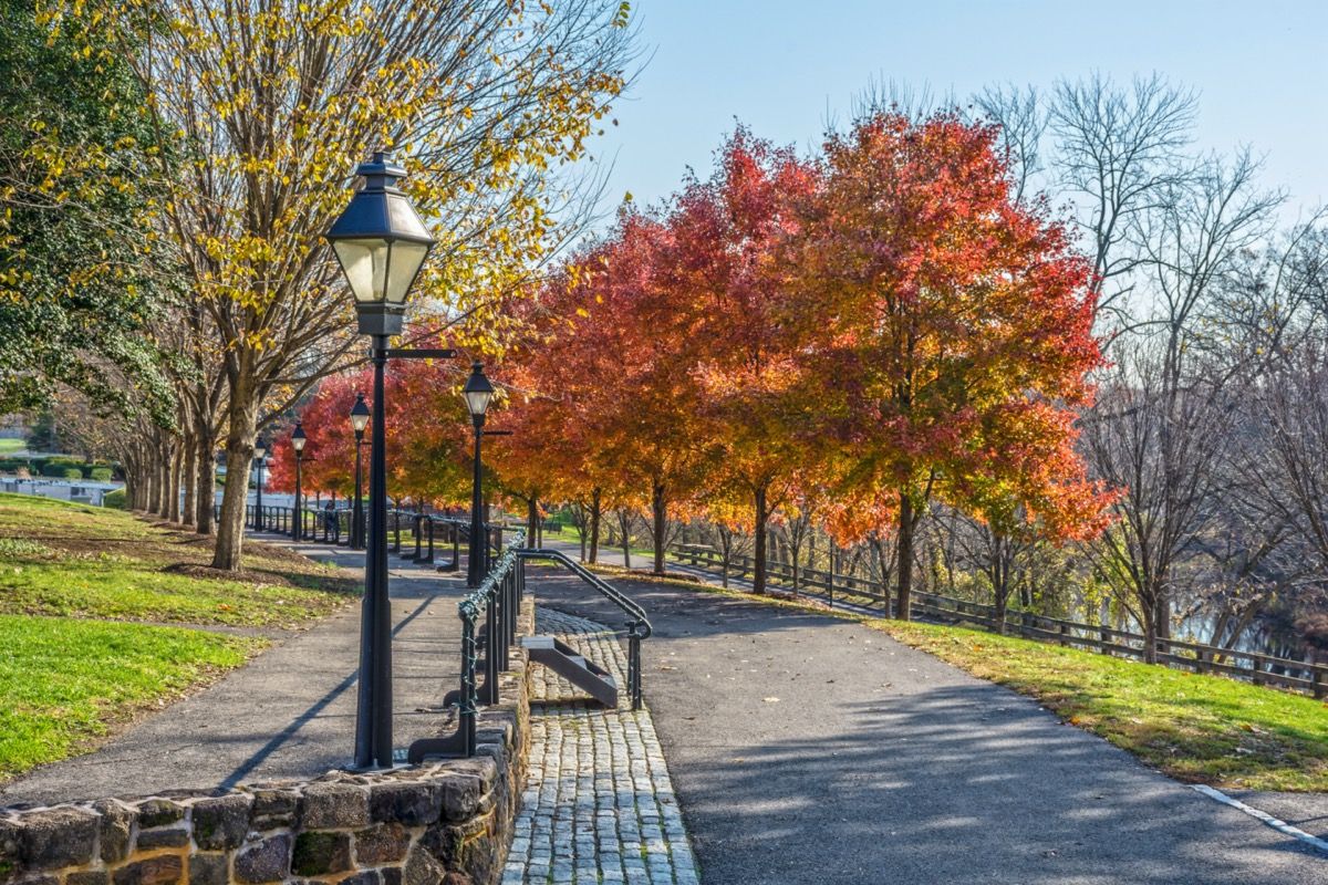 stromy a chodník v parku v okrese Burlington, New Jersey