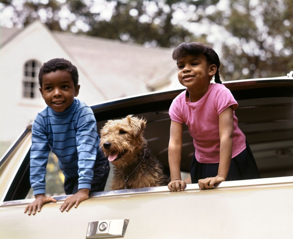 שנות ה -70 הקטנות אפריקאיות-אמריקאיות וילדות הנשענות מחוץ לחלון הרכב עם כלב