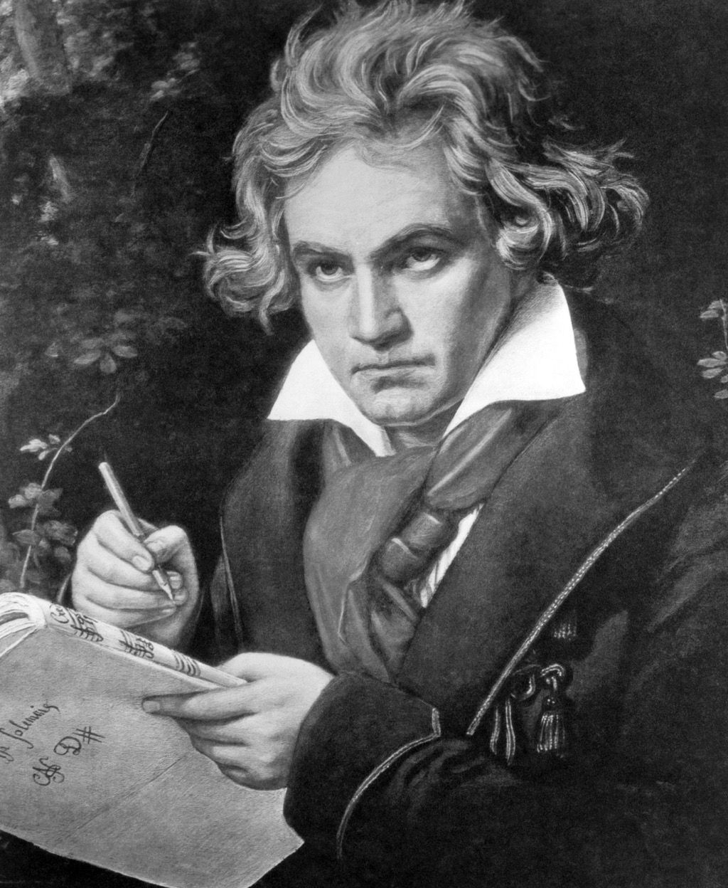 Beethoven, jolla oli nokkela putoaminen