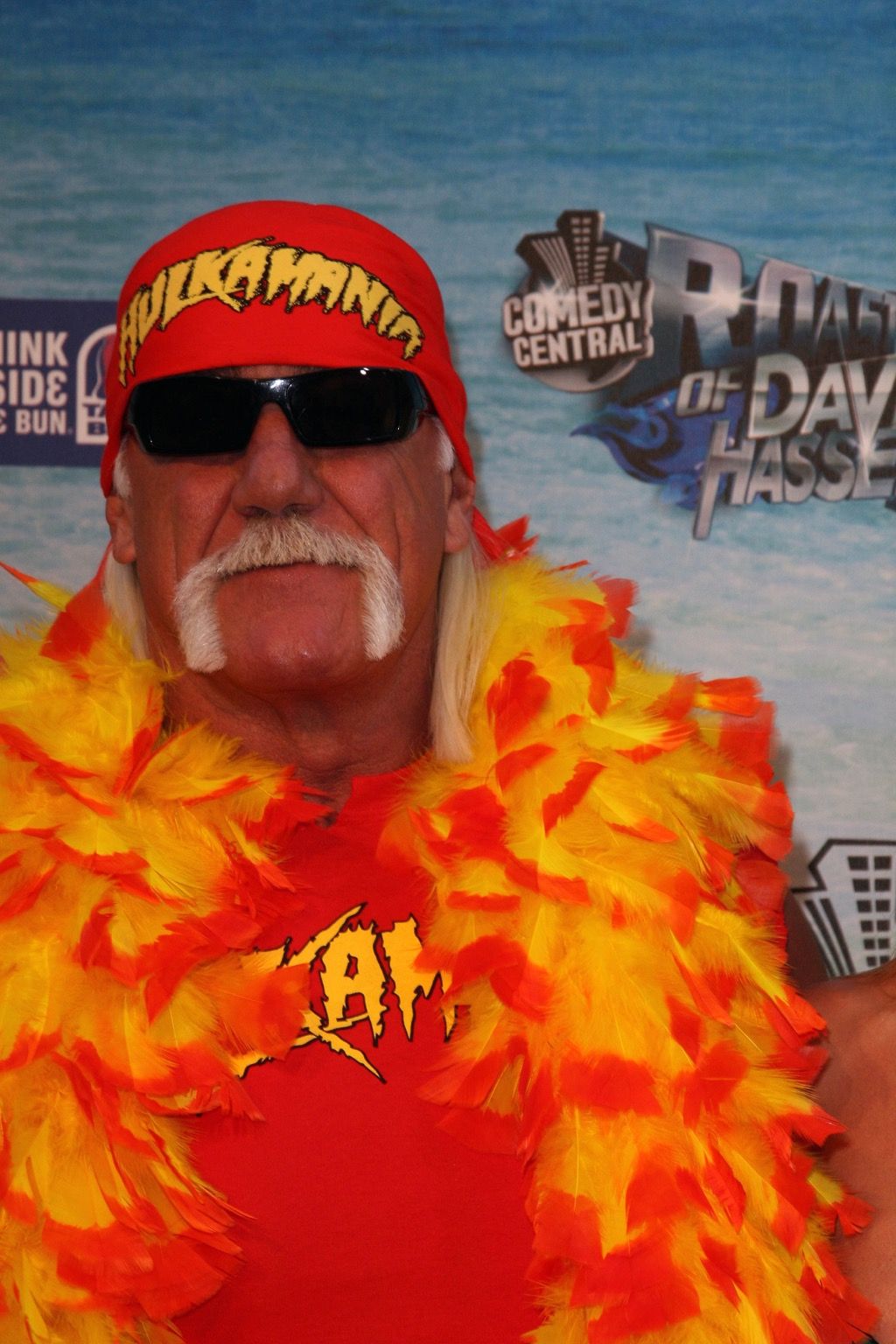 Hulk Hogan garsenybių aktai