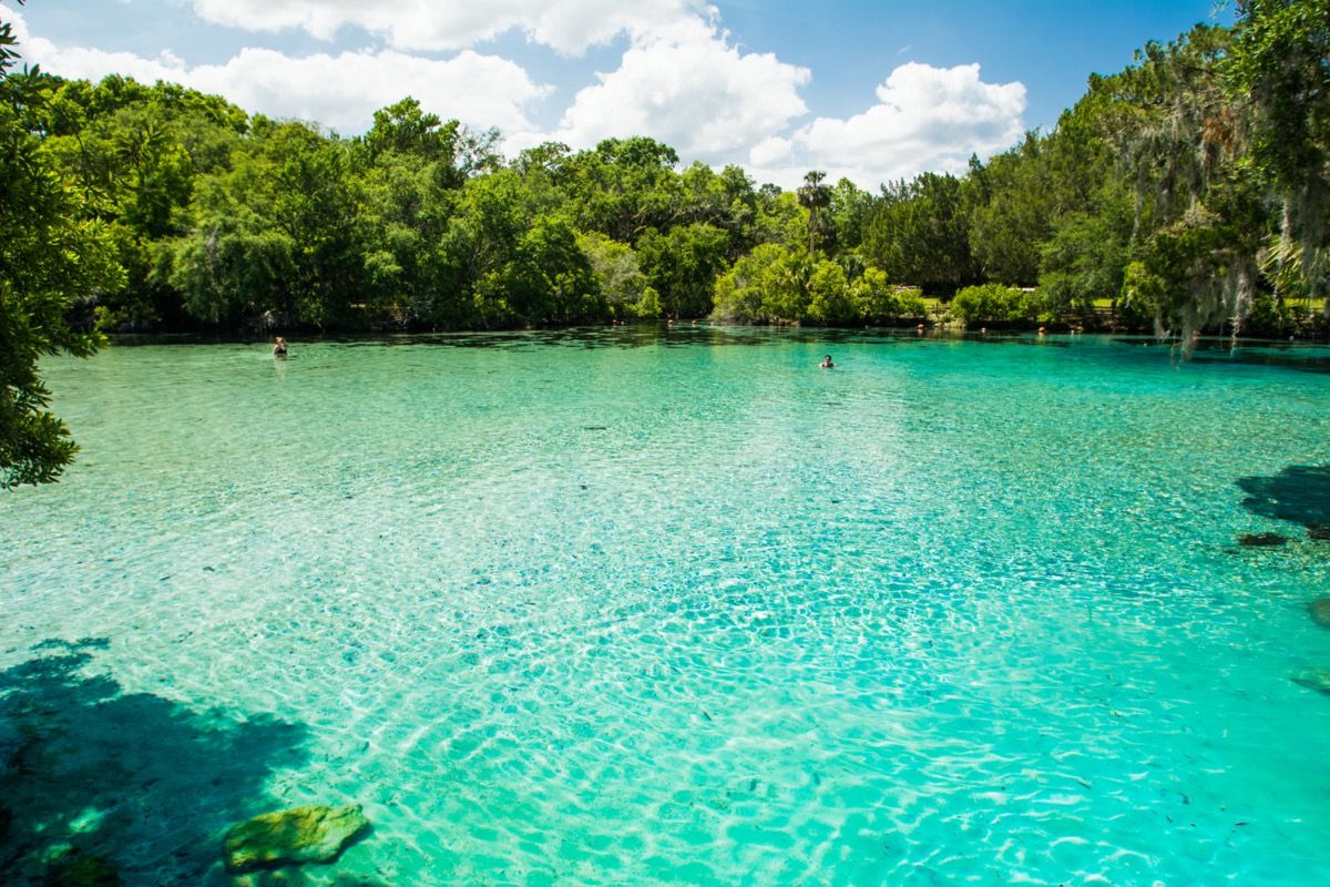 Agua cristalina de Silver Glen Springs en Florida