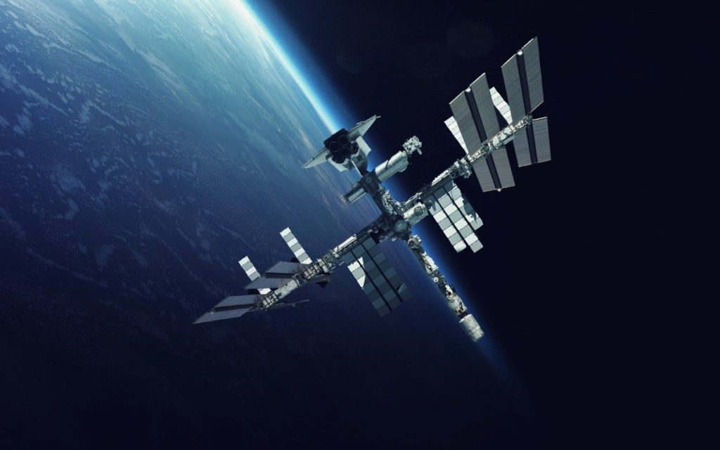 International Space Station {Spider Facts}