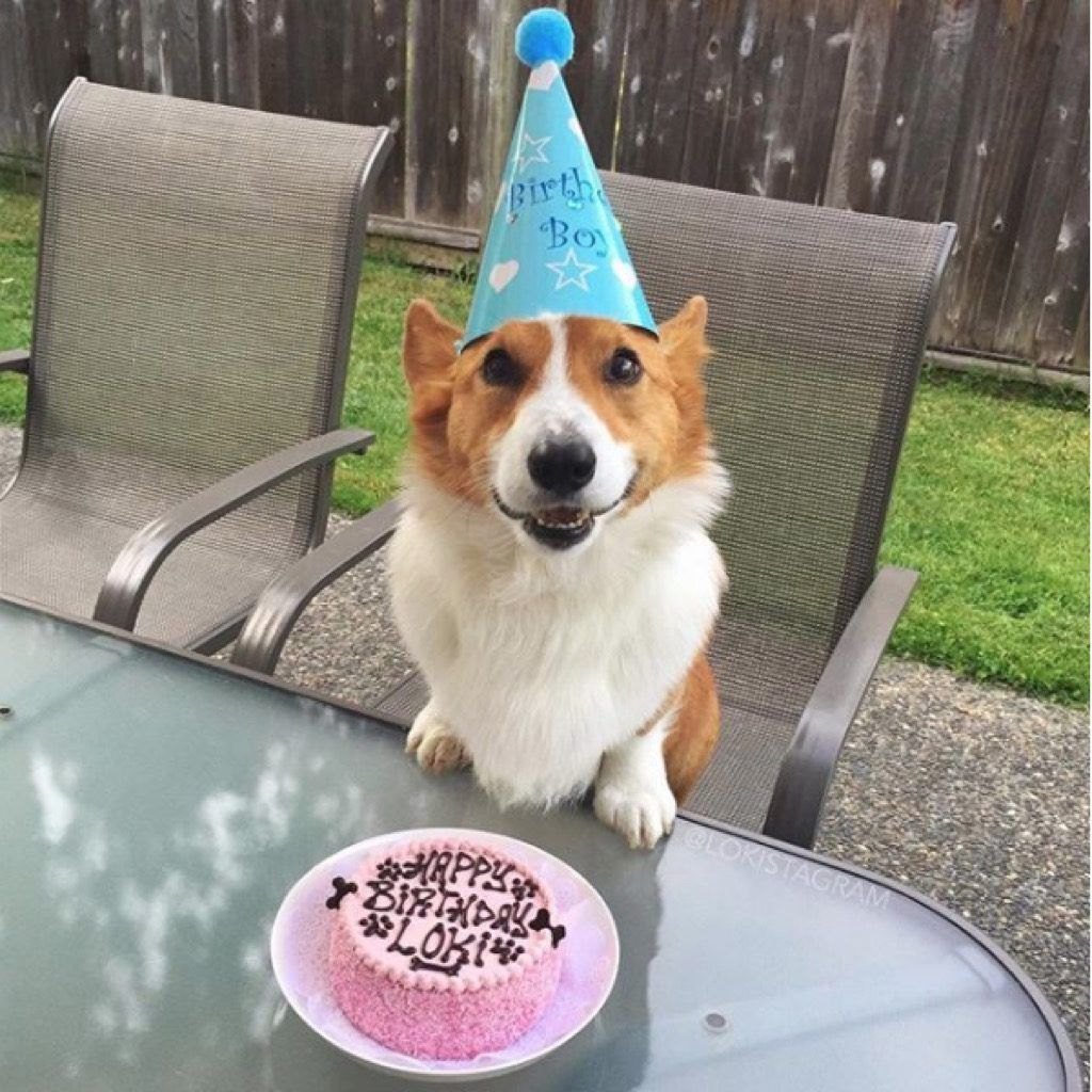 Локи празнува рождения си ден.