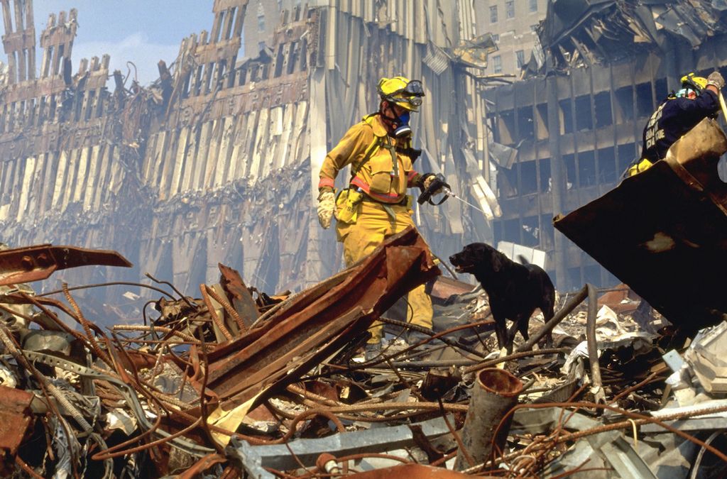 Psi koji su pomogli sa životinjama 11. rujna koje su stvarni heroji