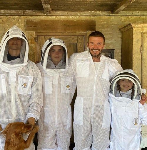 ڈیوڈ بیکہم اور بچوں نے شہد کی مکھیوں کی حفاظت کی