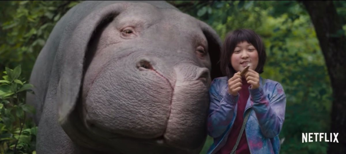 Okja Trailer - beste traurige Filme auf Netflix