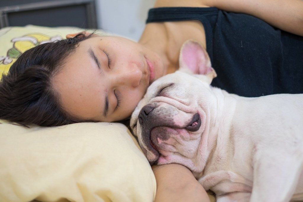 nainen nukkuu ranskalaisen bulldogikuvien kanssa torkkuneista koirista