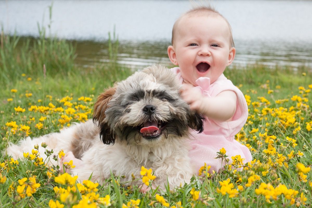 Koera ja beebi istumine lillepõllul