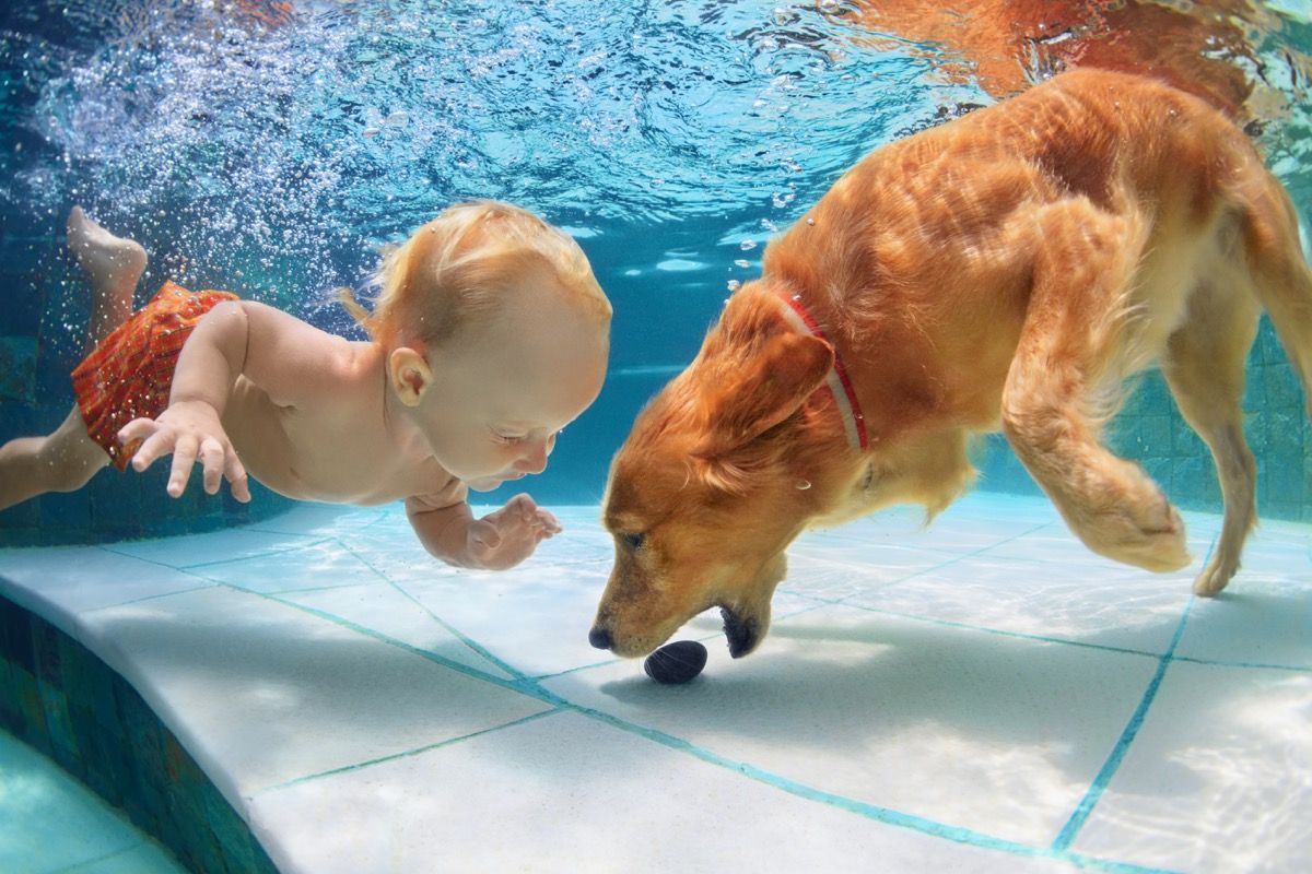 Koera ja lapse ujumine