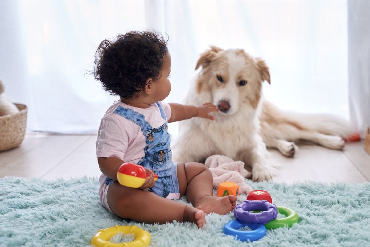 Beebi jagab koeraga mänguasju