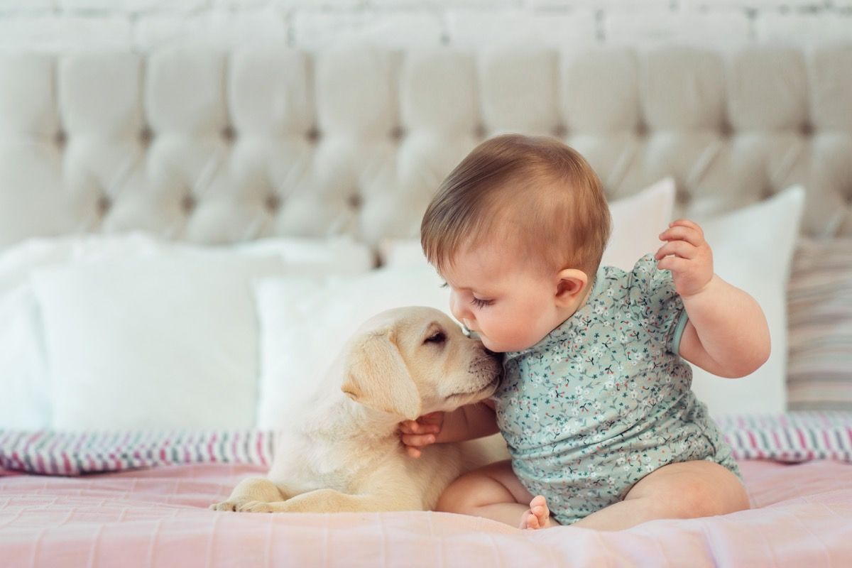 27 preciosas fotos de perros y bebés que derretirán tu corazón