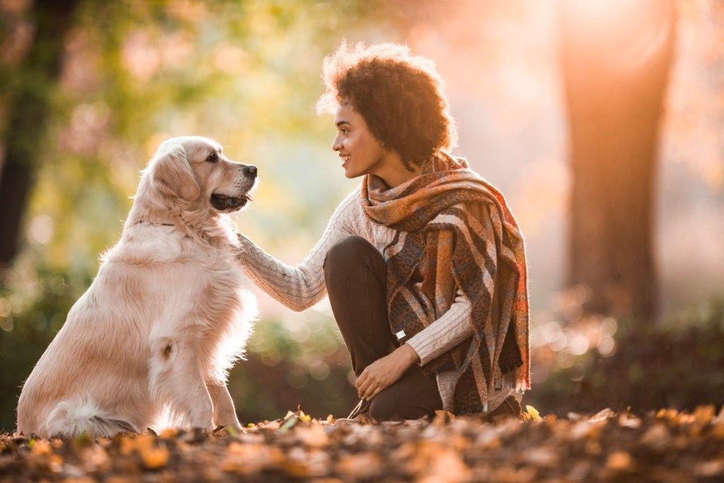 Feliz mujer afroamericana hablando con su perro en el parque.