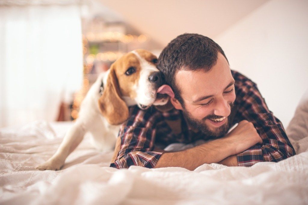 युवा मुस्कुराता हुआ आदमी अपने कुत्ते के साथ स्नेह करता है