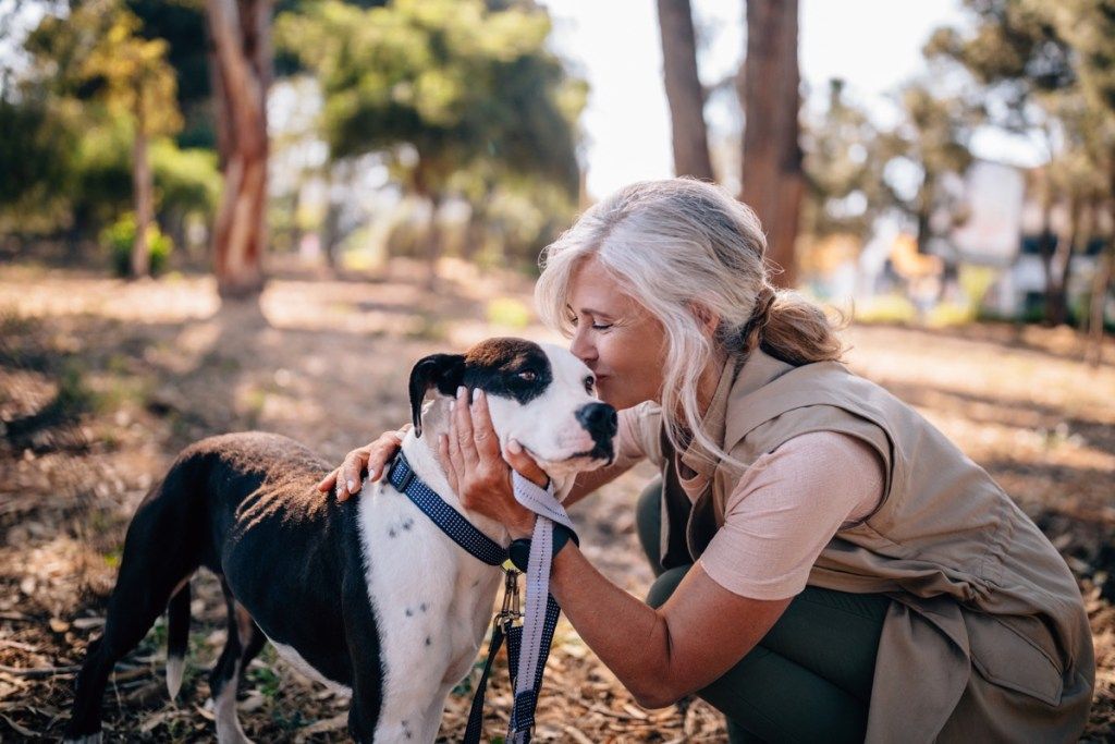 אישה בוגרת פעילה שמחה נהנית מטיול אחר הצהריים בפארק ומתנשקת עם כלב מחמד ברצועה